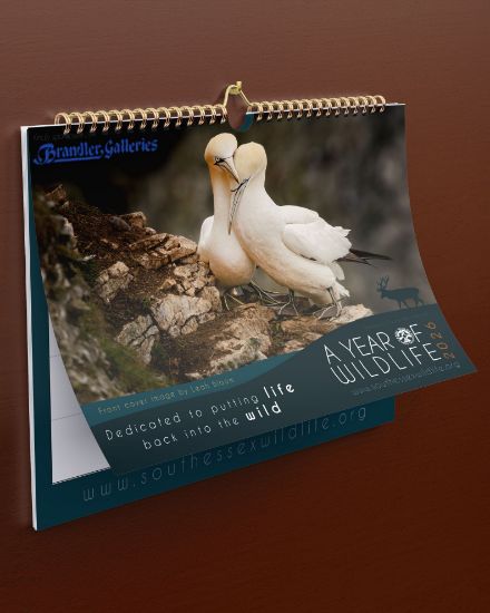 Picture of 2026 Calendar